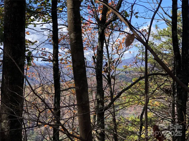 a backyard of a house with lots of trees