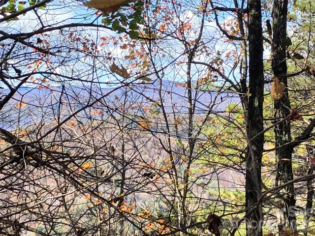 $59,900 | Tbd Buck Mountain Road, Unit 96, Purlear, NC 28665