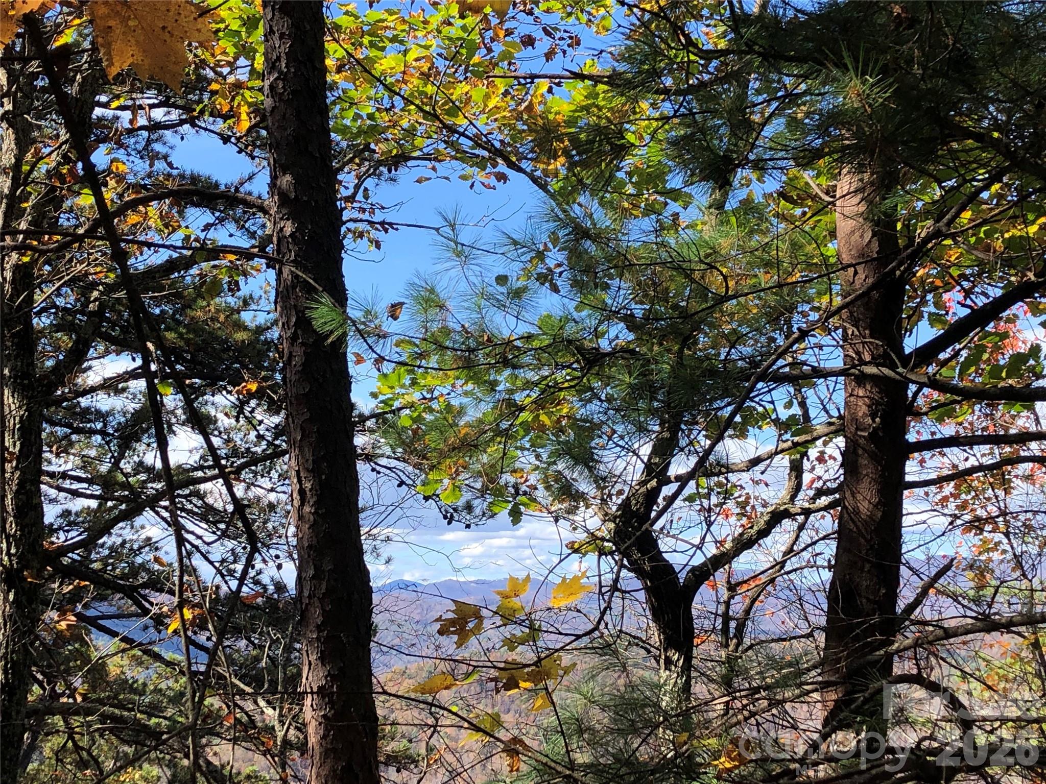 Tbd Buck Mountain Road, Unit 96 Purlear, NC 28665 - Photo 14 of 35