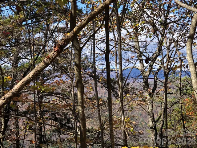 $59,900 | Tbd Buck Mountain Road, Unit 96, Purlear, NC 28665