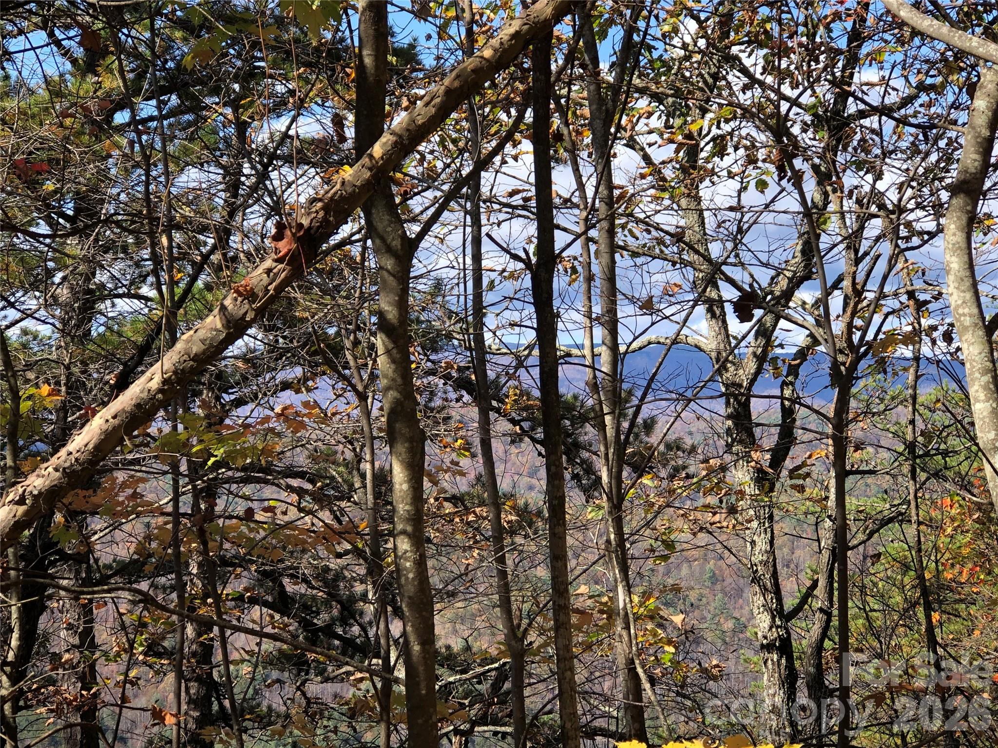 Tbd Buck Mountain Road, Unit 96 Purlear, NC 28665 - Photo 15 of 35