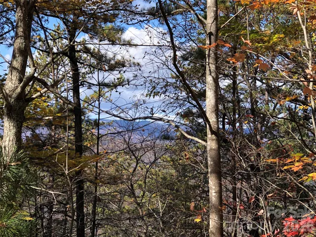 $59,900 | Tbd Buck Mountain Road, Unit 96, Purlear, NC 28665