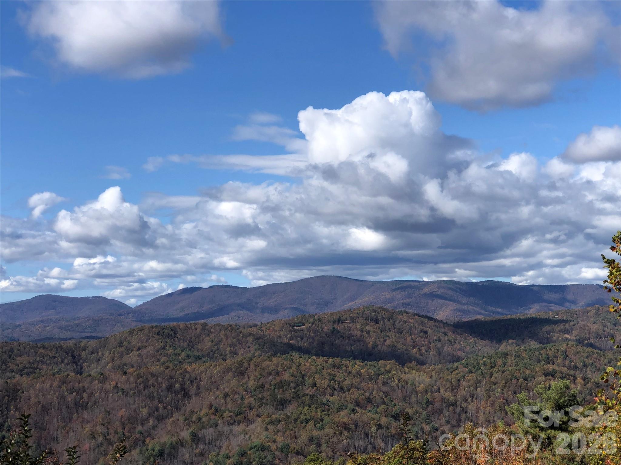 Tbd Buck Mountain Road, Unit 96 Purlear, NC 28665 - Photo 4 of 35