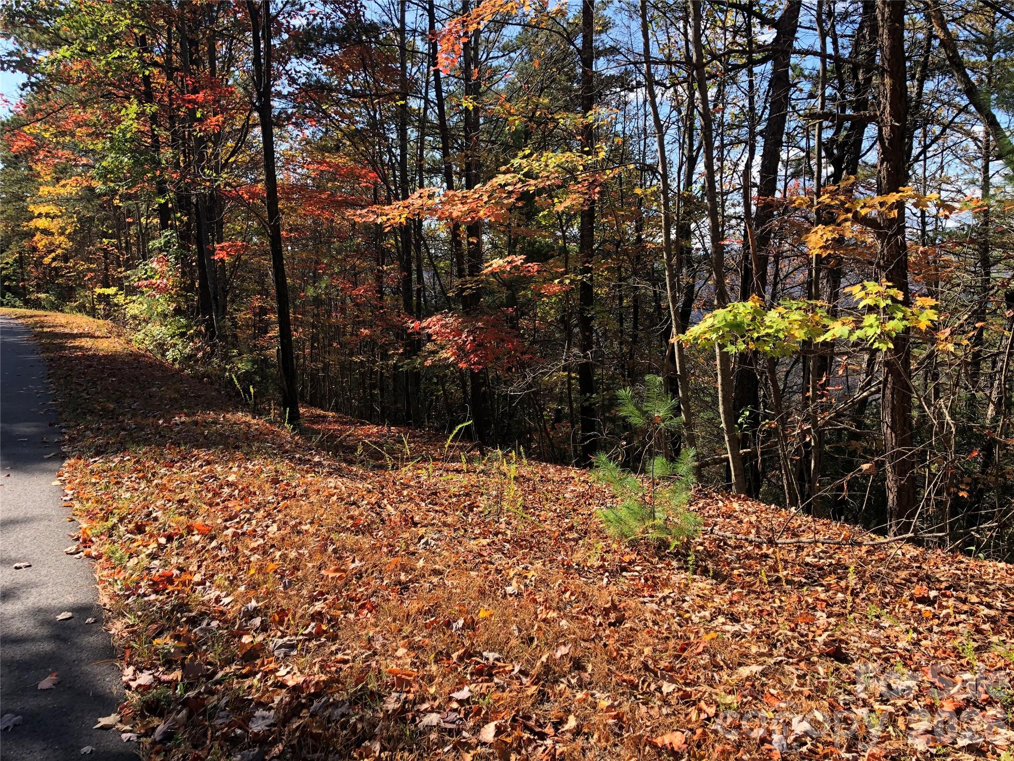 Tbd Buck Mountain Road, Unit 96 Purlear, NC 28665 - Photo 9 of 35