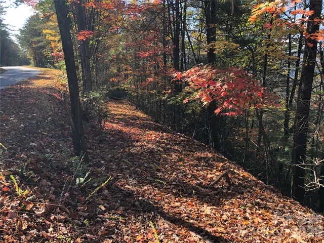 $59,900 | Tbd Buck Mountain Road, Unit 96, Purlear, NC 28665