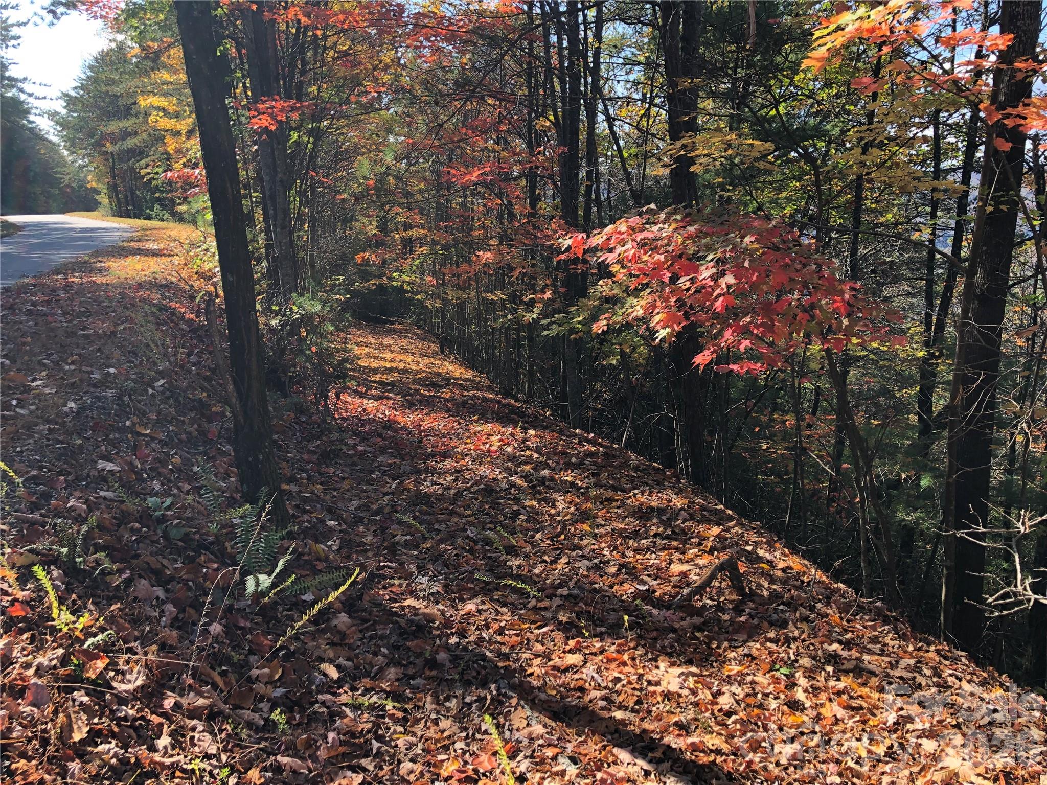 Tbd Buck Mountain Road, Unit 96 Purlear, NC 28665 - Photo 10 of 35