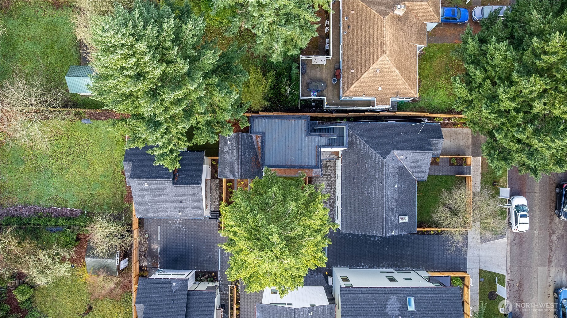 7341 21st Avenue Northeast Seattle, WA 98115 - Photo 27 of 33