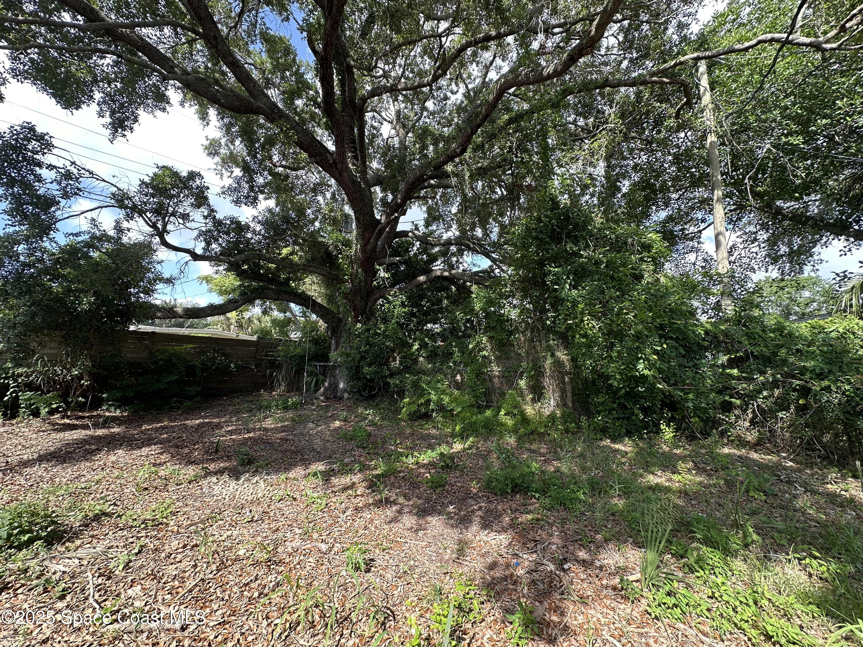 13 Scott Lane Rockledge, FL 32955 - Photo 24 of 26 a view of outdoor space with trees all around