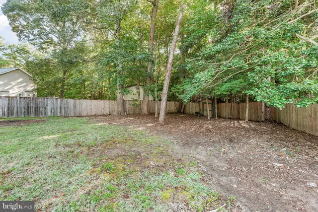 a view of a backyard with large trees and wooden fence