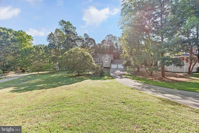 a view of a yard with an trees
