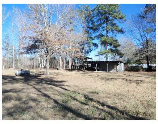 245 Spur 89 Road Pollock, LA 71467 - Photo 3 of 3 Gallery Image 3