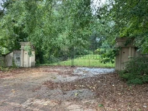 a view of a yard with a tree