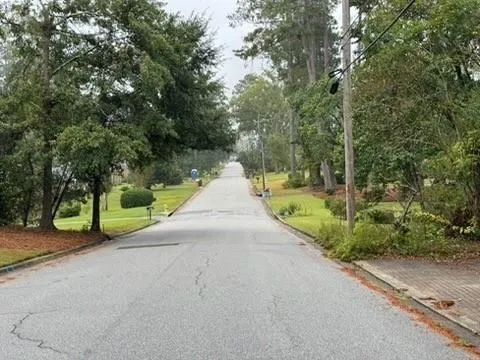 a view of a park with large trees