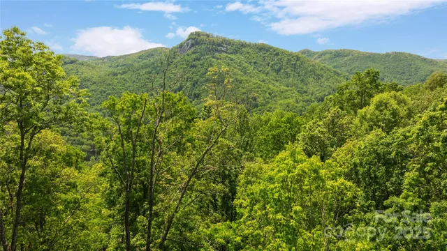 a view of a lush green space with sea