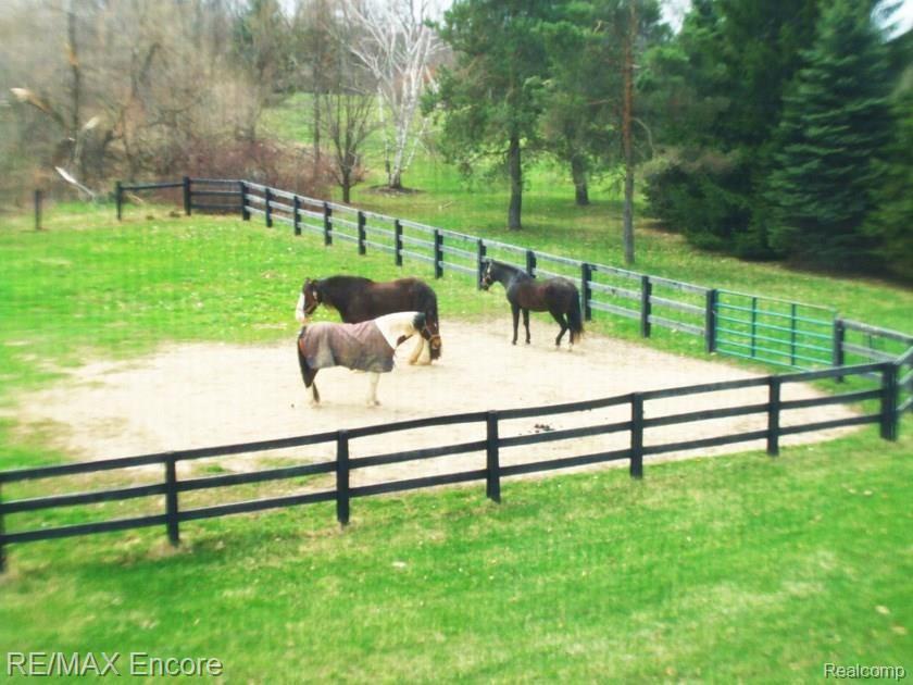 8363 Henderson Road Goodrich, MI 48438 - Photo 43 of 44 View of pastures from house