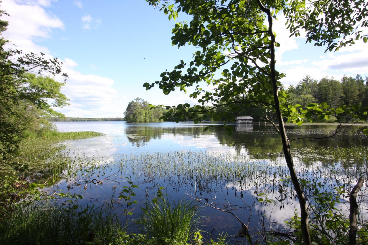 Lot 1 Lake Julia Road Rhinelander, WI 54501 - Photo 5 of 6 Gallery Image 5