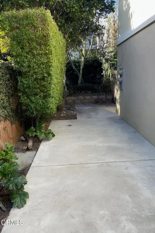 a view of path and tree