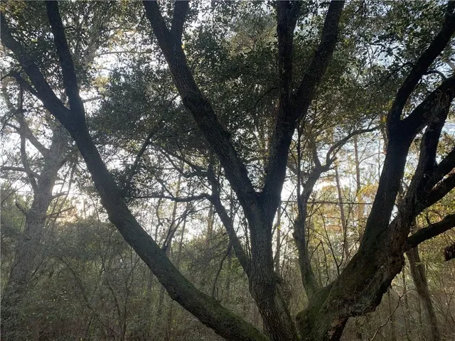 $1,450 | 73341 Warm Springs Drive, Abita Springs, LA 70420