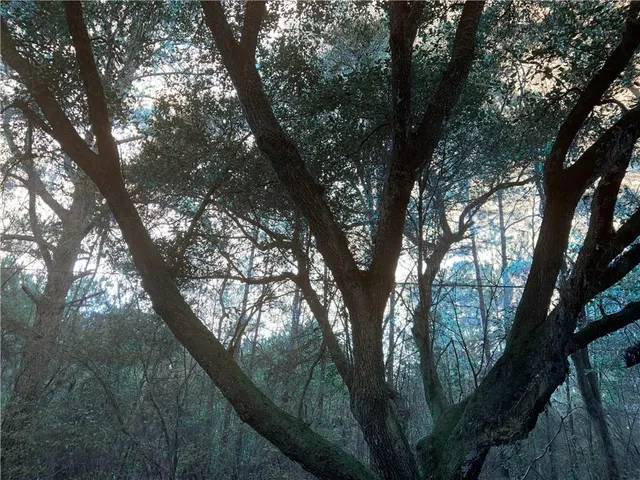 $1,450 | 73341 Warm Springs Drive, Abita Springs, LA 70420