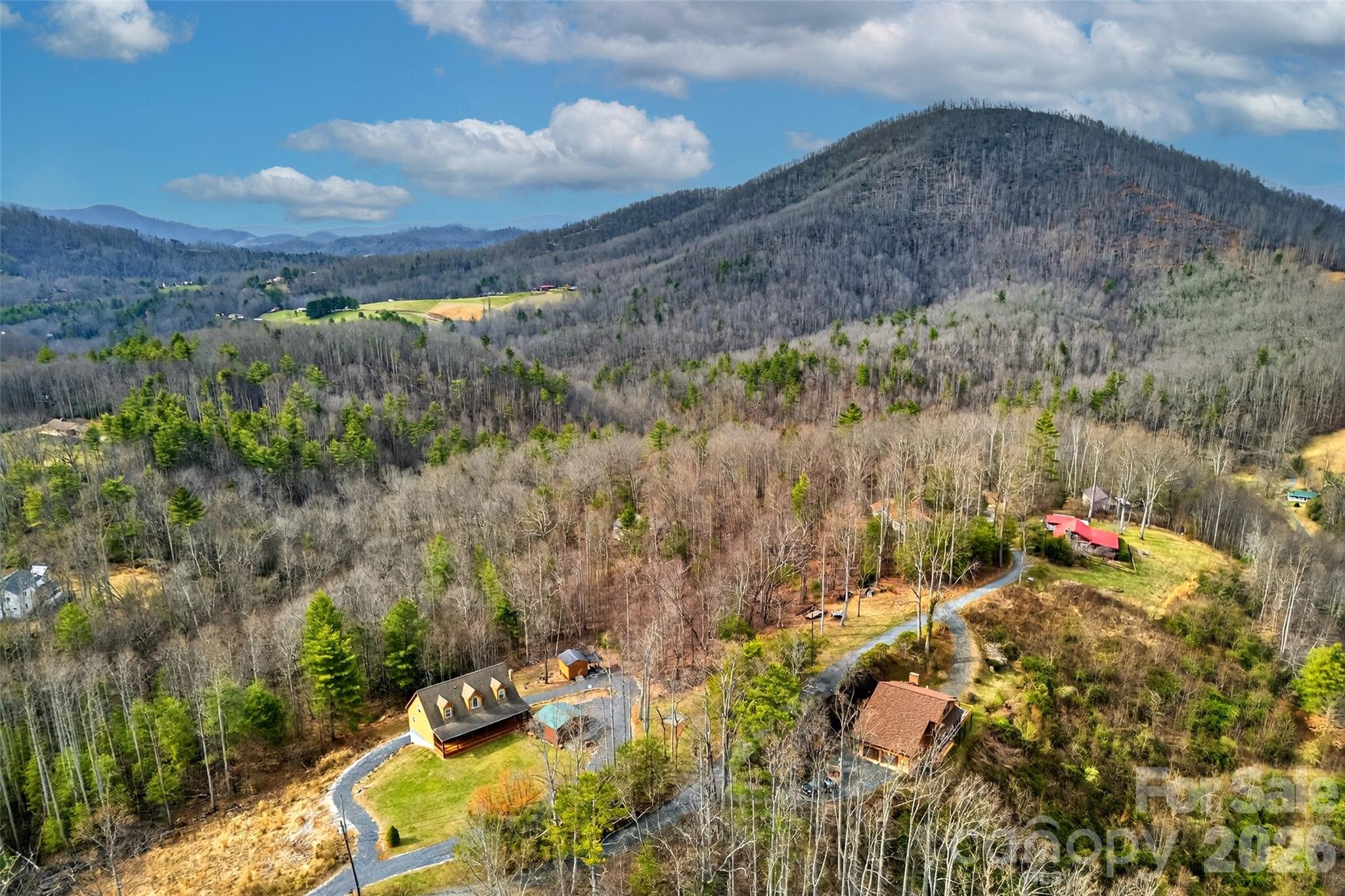 Tbd Red Bird Road Spruce Pine, NC 28777 - Photo 1 of 18 a view of a lake with a mountain in the background