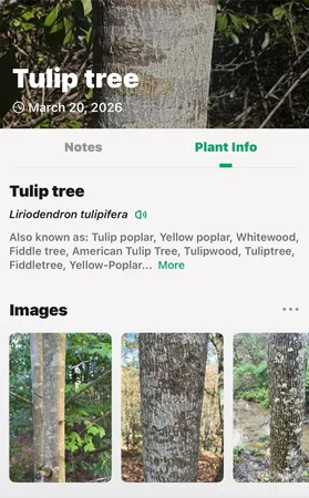 a black and white photo of a book