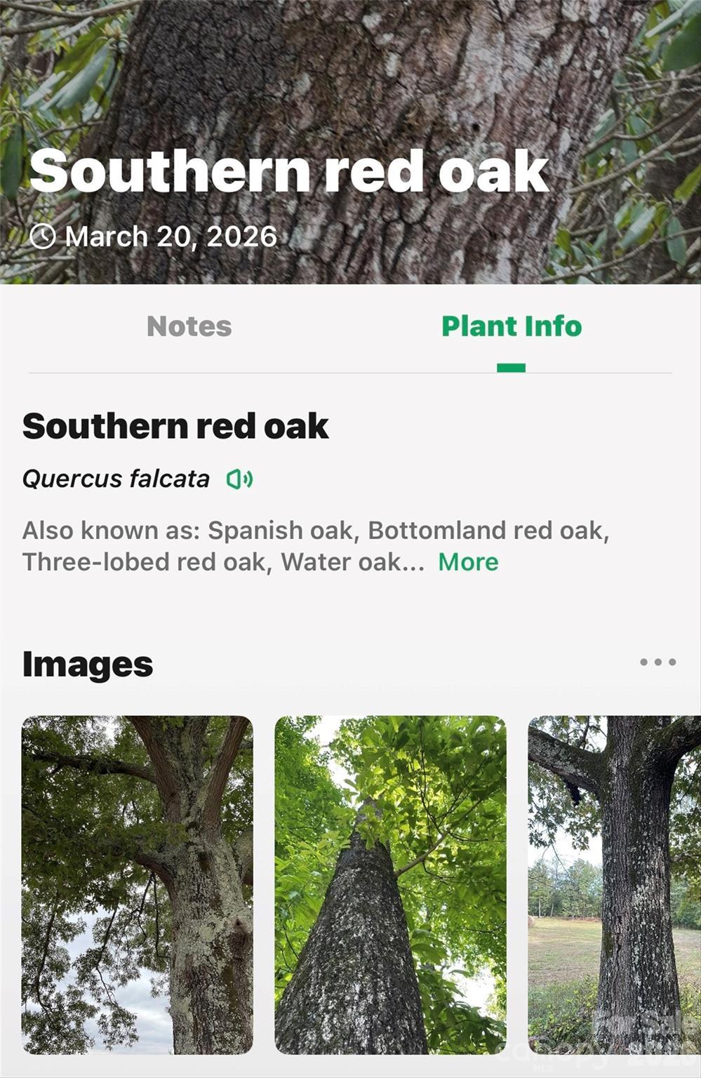 Tbd Red Bird Road Spruce Pine, NC 28777 - Photo 15 of 18 a picture of a park