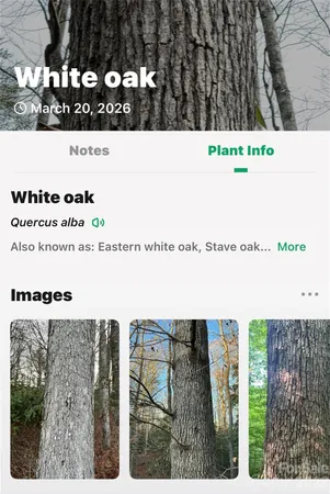 a picture of a park