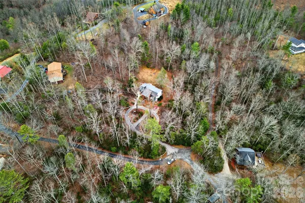 a view of a tree with a yard