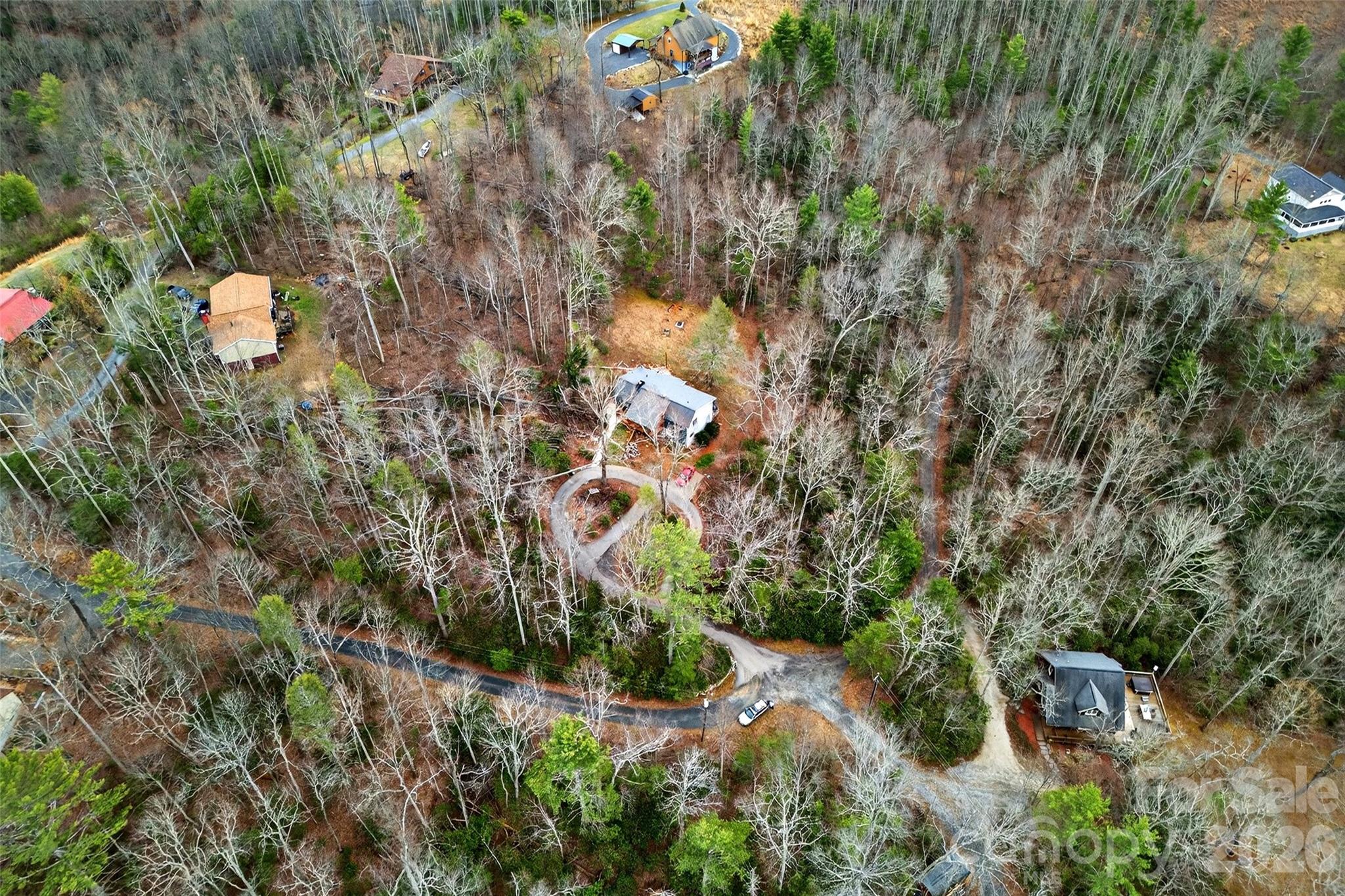 Tbd Red Bird Road Spruce Pine, NC 28777 - Photo 3 of 18 a view of a tree with a yard