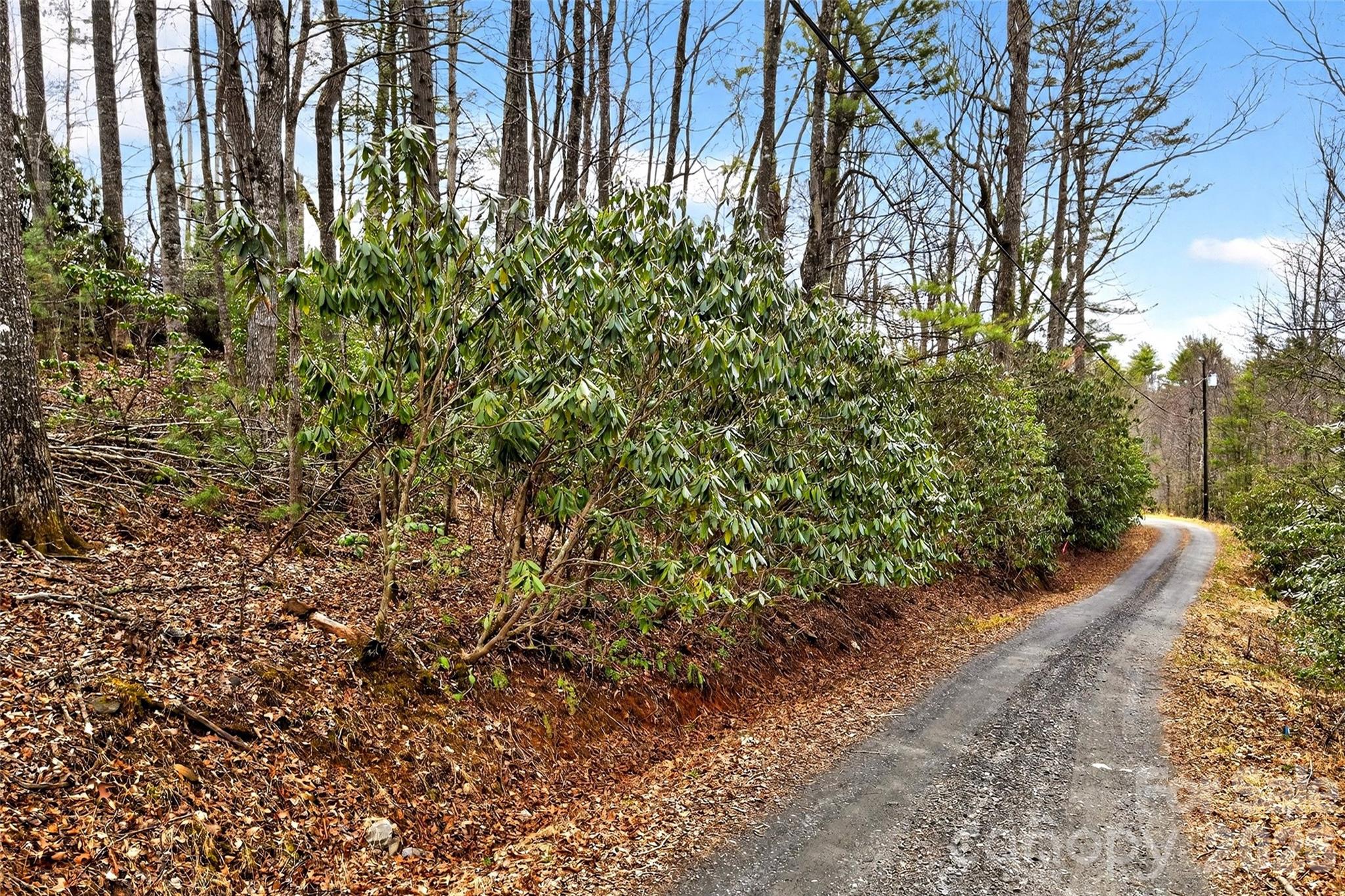 Tbd Red Bird Road Spruce Pine, NC 28777 - Photo 4 of 18 a view of a yard with plants and trees