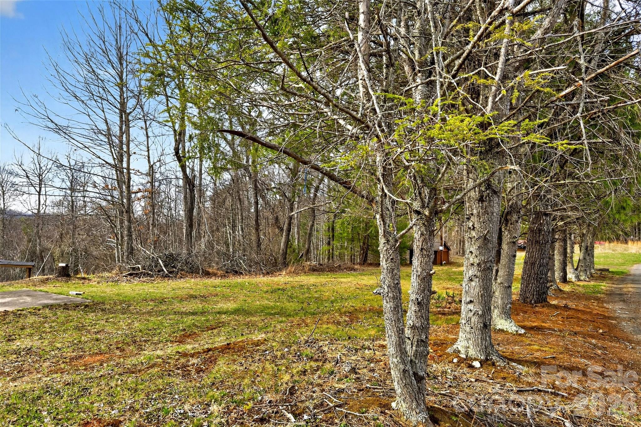 Tbd Red Bird Road Spruce Pine, NC 28777 - Photo 10 of 18 a view of a yard with trees