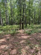 0 Whitesand Road Walterboro, SC 29488 - Photo 1 of 9 IMG_3576
