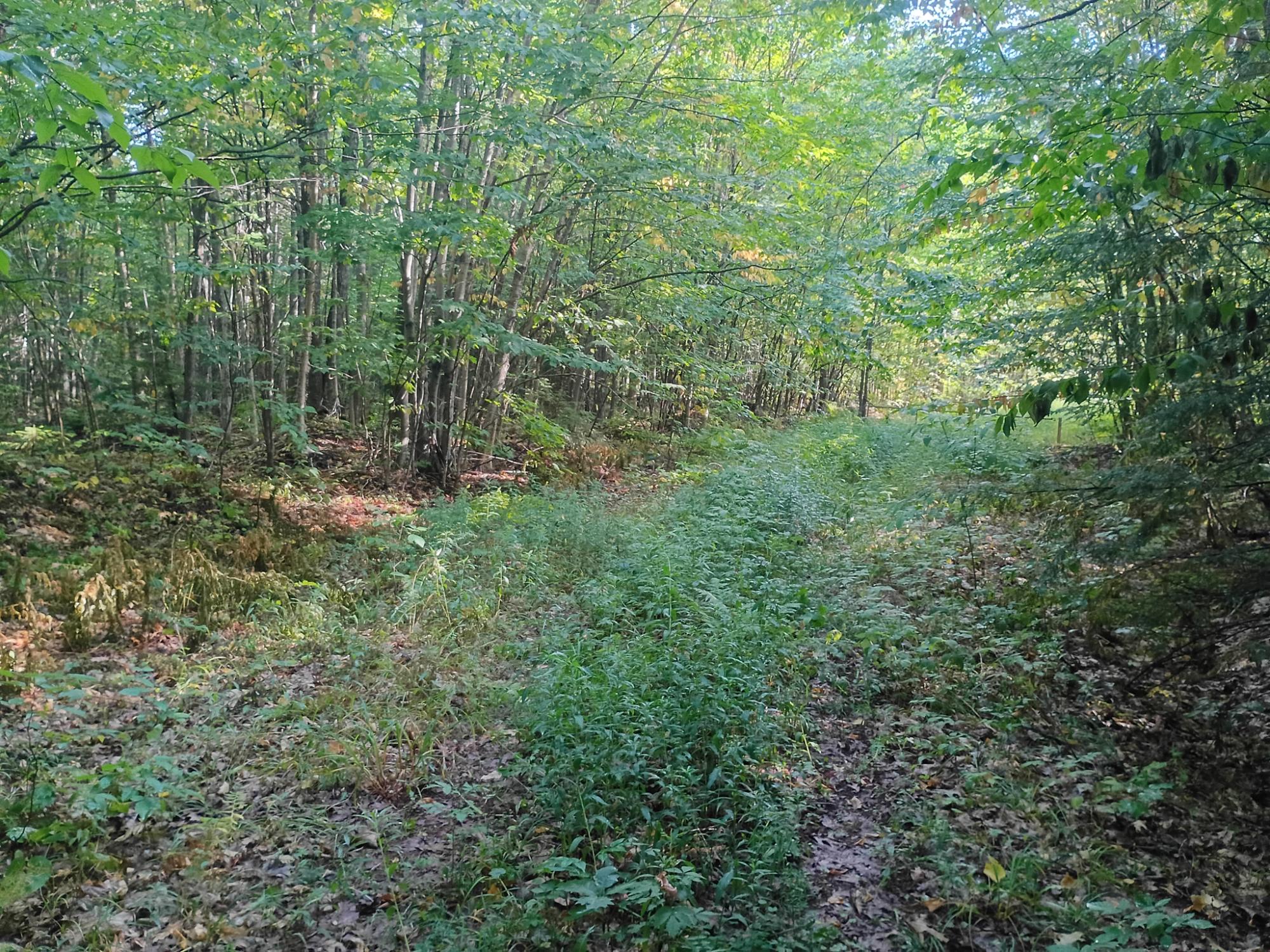 283.12-ac Valley Road Hurley, WI 54534 - Photo 3 of 20 Gallery Image 3