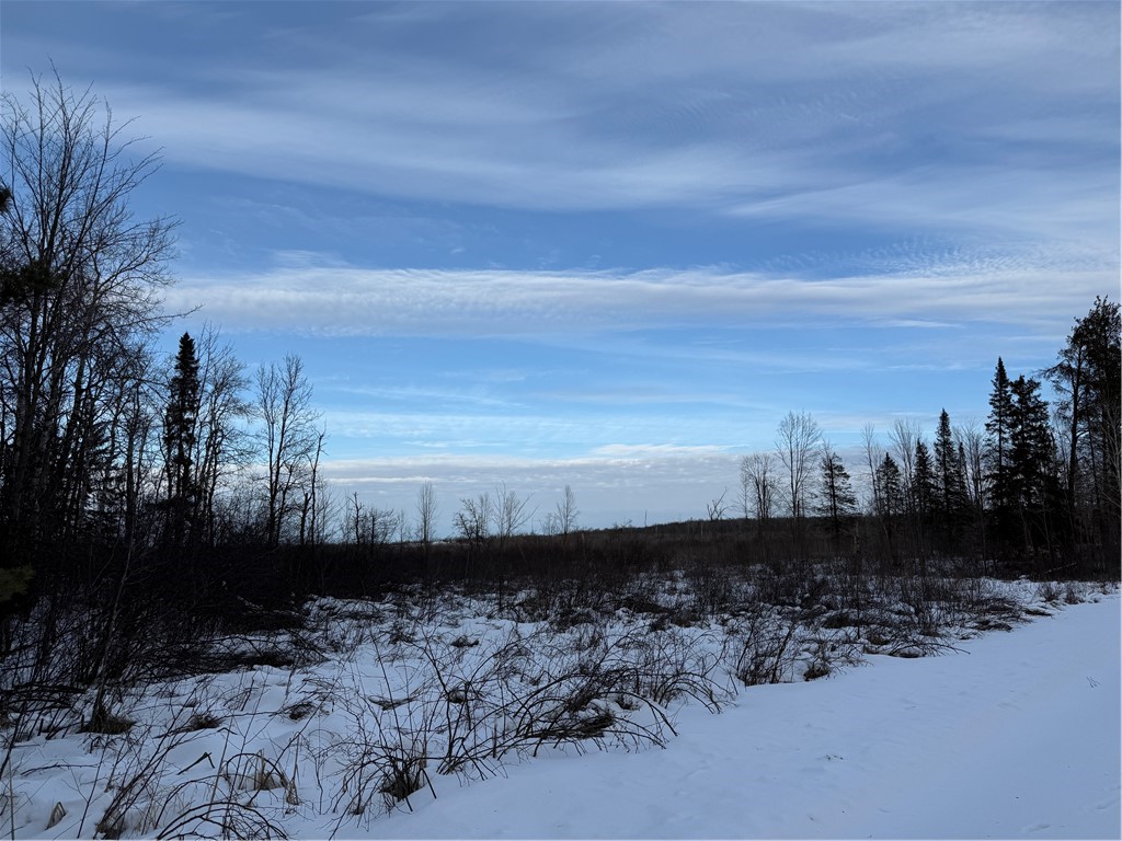 0 Winter Road Ladysmith, WI 54848 - Photo 8 of 13