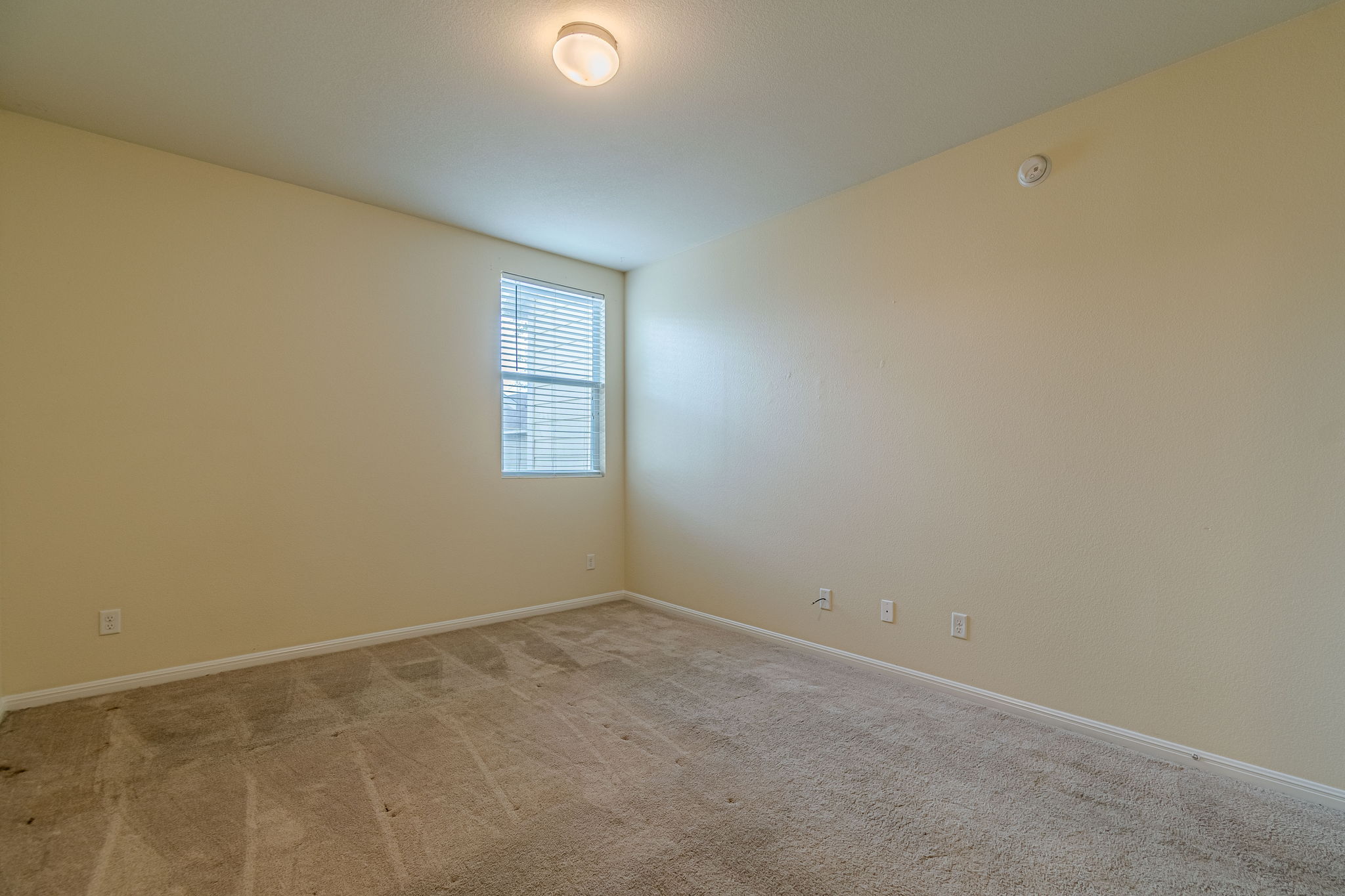 1612 Sanders Kyle, TX 78640 - Photo 29 of 37