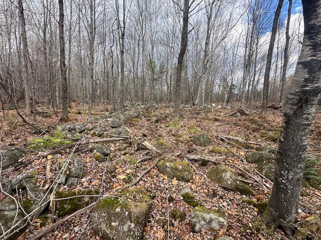 801 Bog Road Kingfield, ME 04947 - Photo 36 of 37 IMG_6056