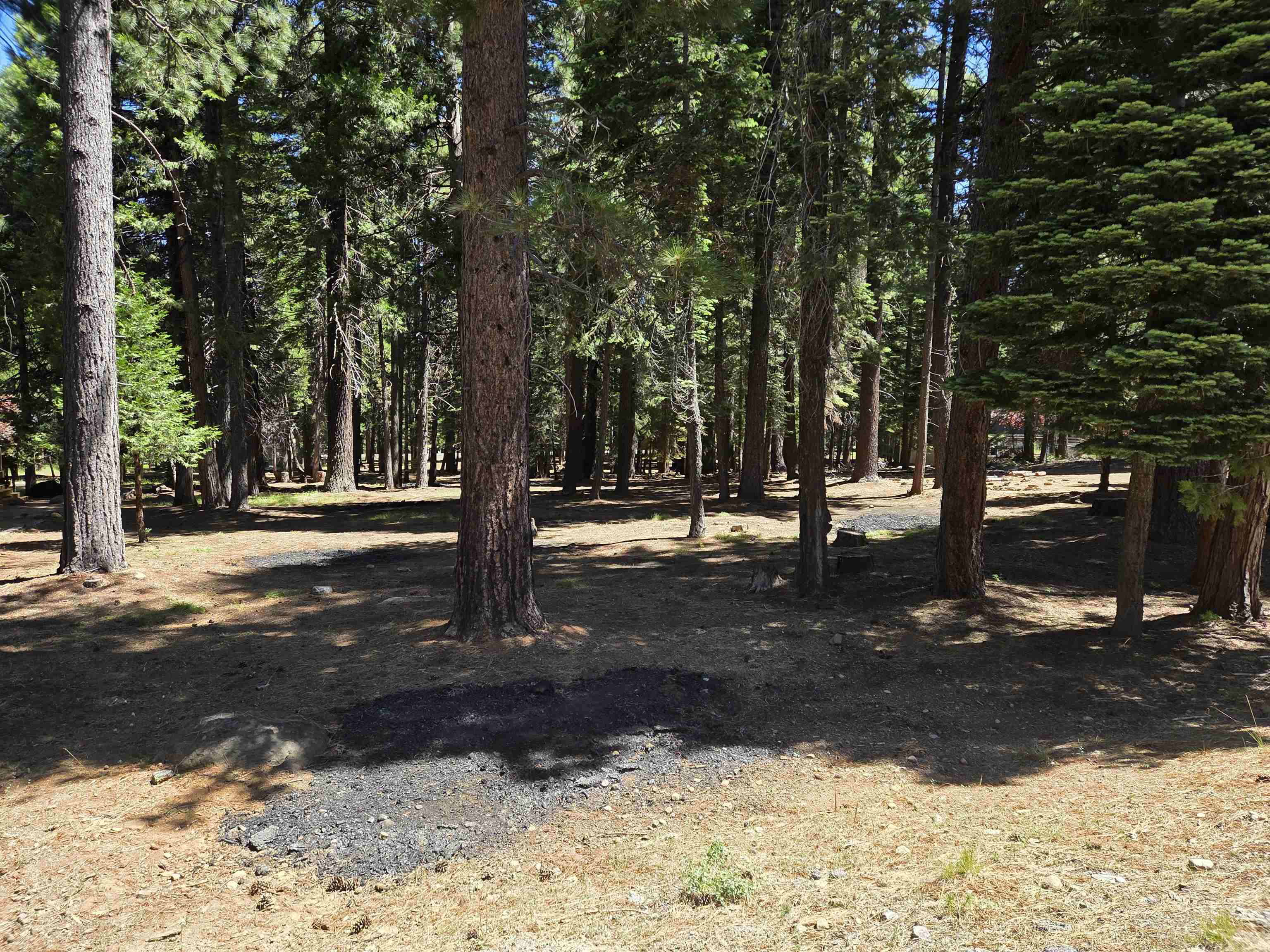 307 Racoon Trail Lake Almanor West, CA 96020 - Photo 4 of 9