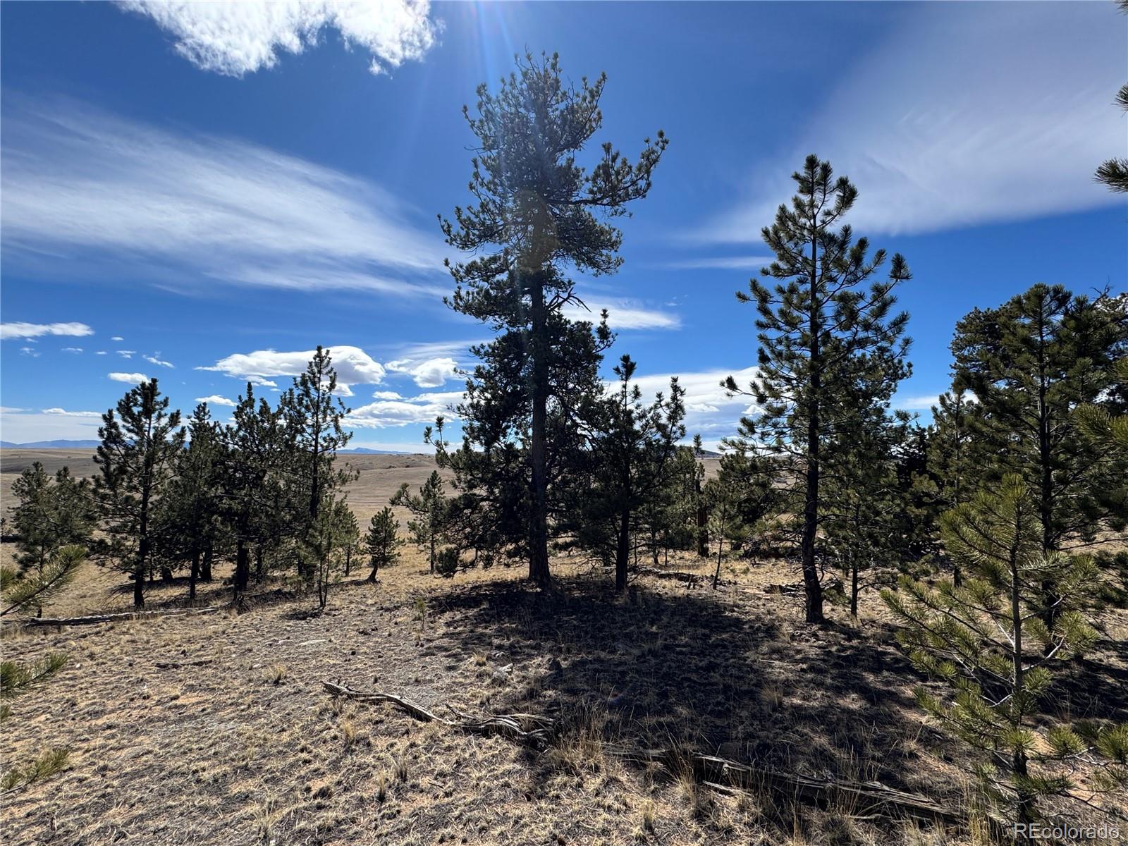 62 Powder Way Como, CO 80432 - Photo 5 of 7