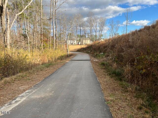 773 Shepard Rock Drive Zebulon, NC 27597 - Photo 34 of 43 a view of a pathway with a yard
