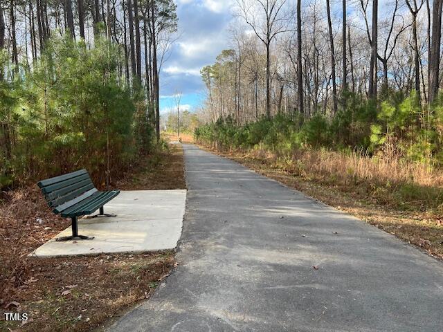 773 Shepard Rock Drive Zebulon, NC 27597 - Photo 37 of 43 a view of a yard with plants and trees