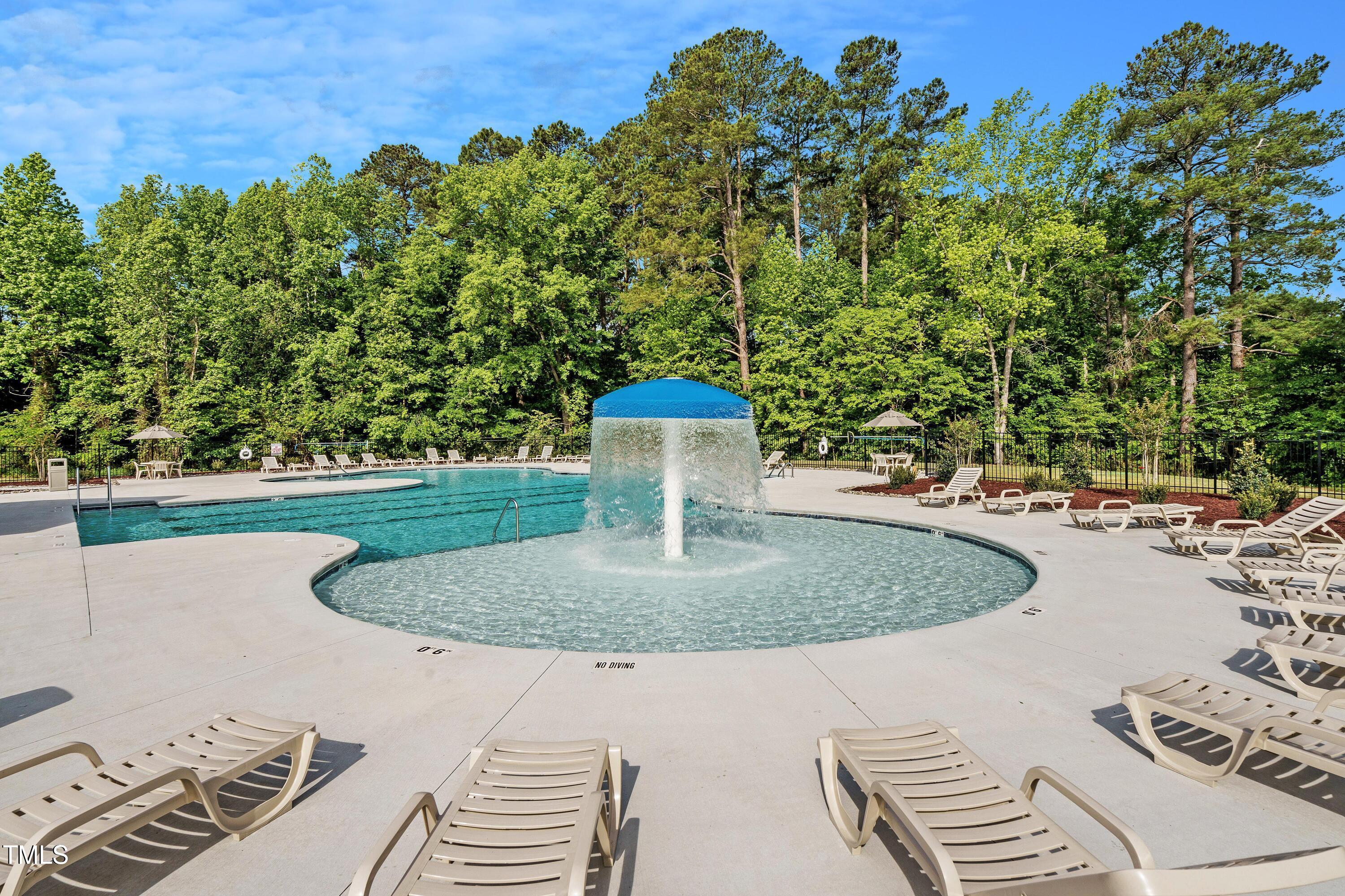 773 Shepard Rock Drive Zebulon, NC 27597 - Photo 39 of 43 a view of a swimming pool with a yard