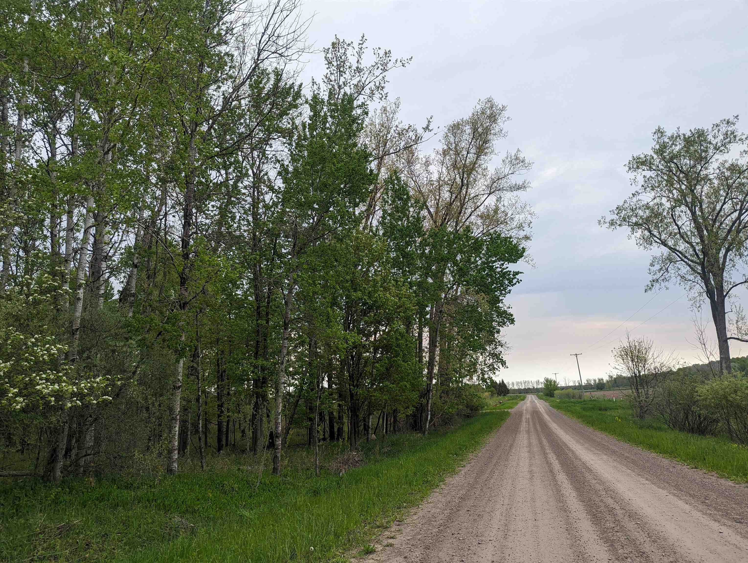 N/a Lentner Road Turner, MI 48765 - Photo 1 of 10 1922242-f60d0116-7f49-42ea-96e7-00eba041aa75.JPG