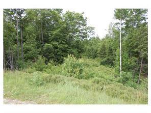 Lot #4 Diffin Road Oxford, ME 04270 - Photo 1 of 1 Photo