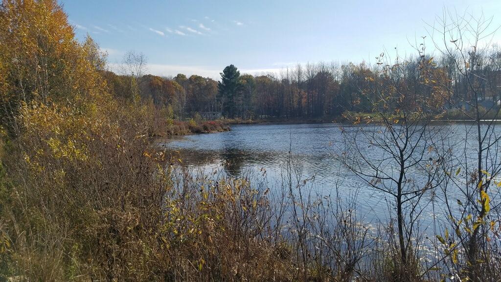 7315 Schmeid Road Lakeview, MI 48850 - Photo 2 of 8 Pic 2-B