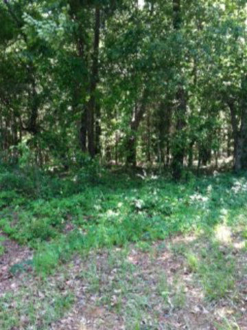 5480 Cotton Acres Road Sumter, SC 29153 - Photo 1 of 1 Gallery Image 1