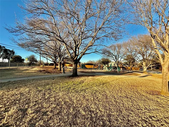 a view of road with large trees