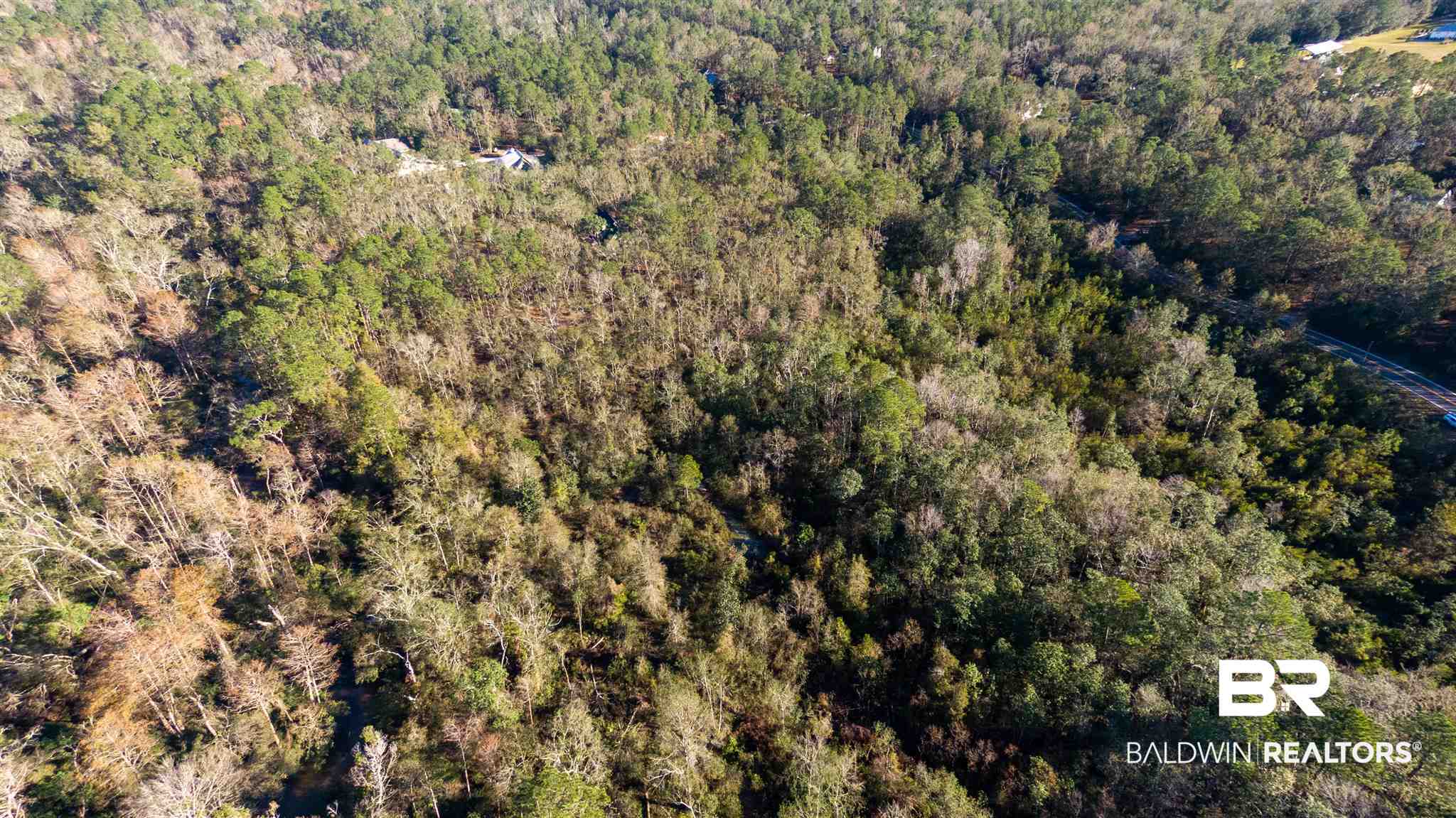 0 McPhillips Road Loxley, AL 36551 - Photo 15 of 27