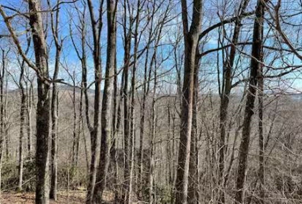 623 Wintergreen Drive Boone, NC 28607 - Photo 31 of 31
