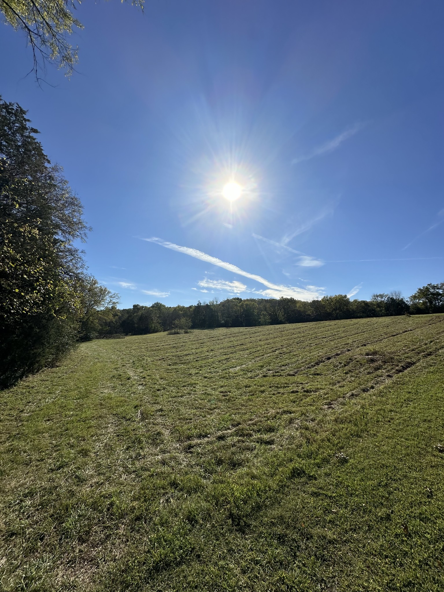 1775 Cooks Road Mount Juliet, TN 37122 - Photo 12 of 21 a view of lake and sunset