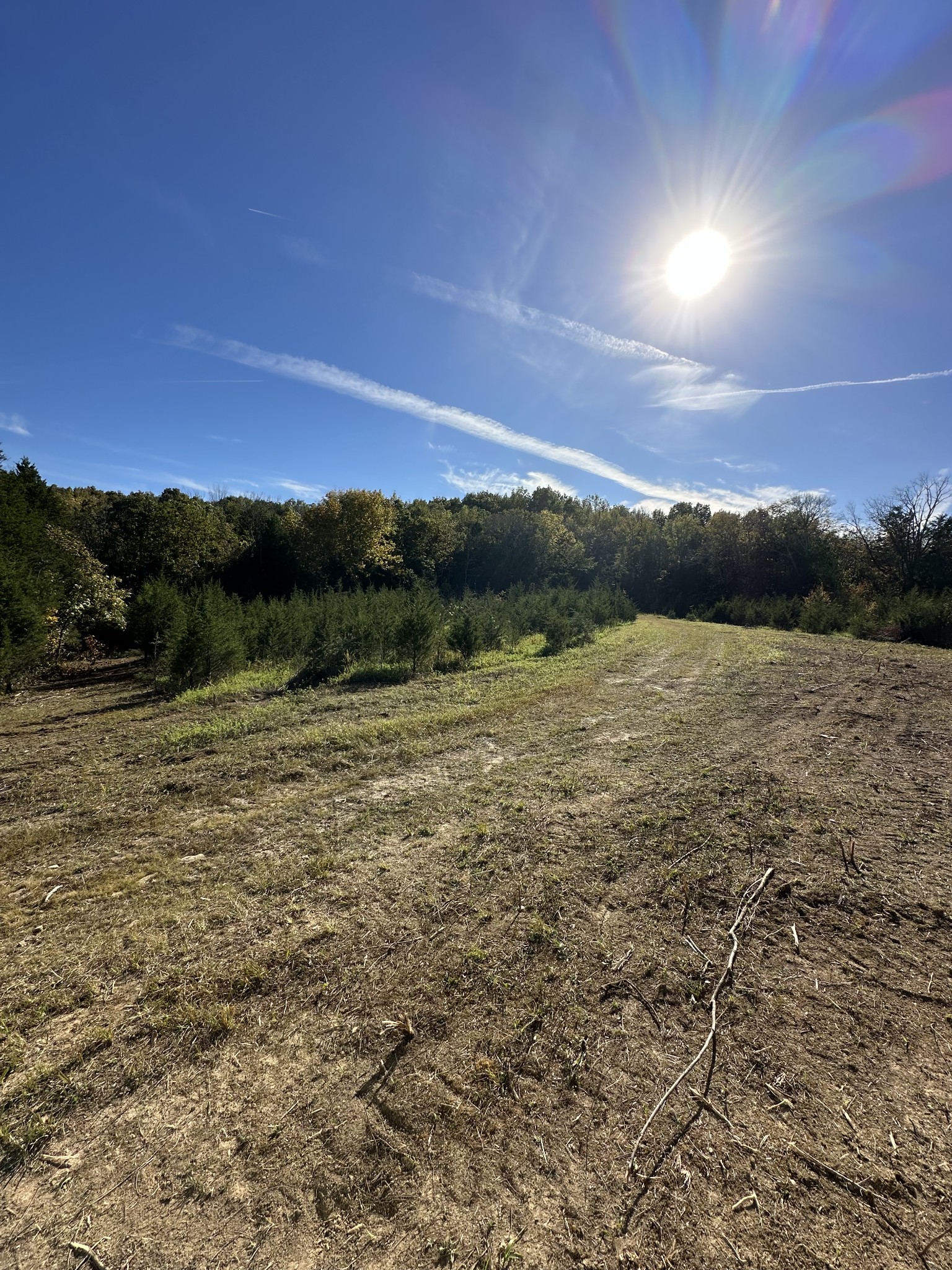 1775 Cooks Road Mount Juliet, TN 37122 - Photo 17 of 21 a view of mountain with lake view